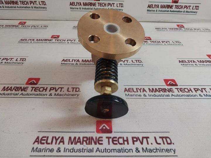 10K25 Globe Hose Valve
