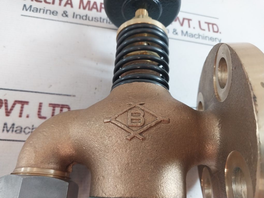 10K25 Globe Hose Valve