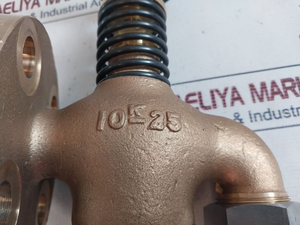 10K25 Globe Hose Valve