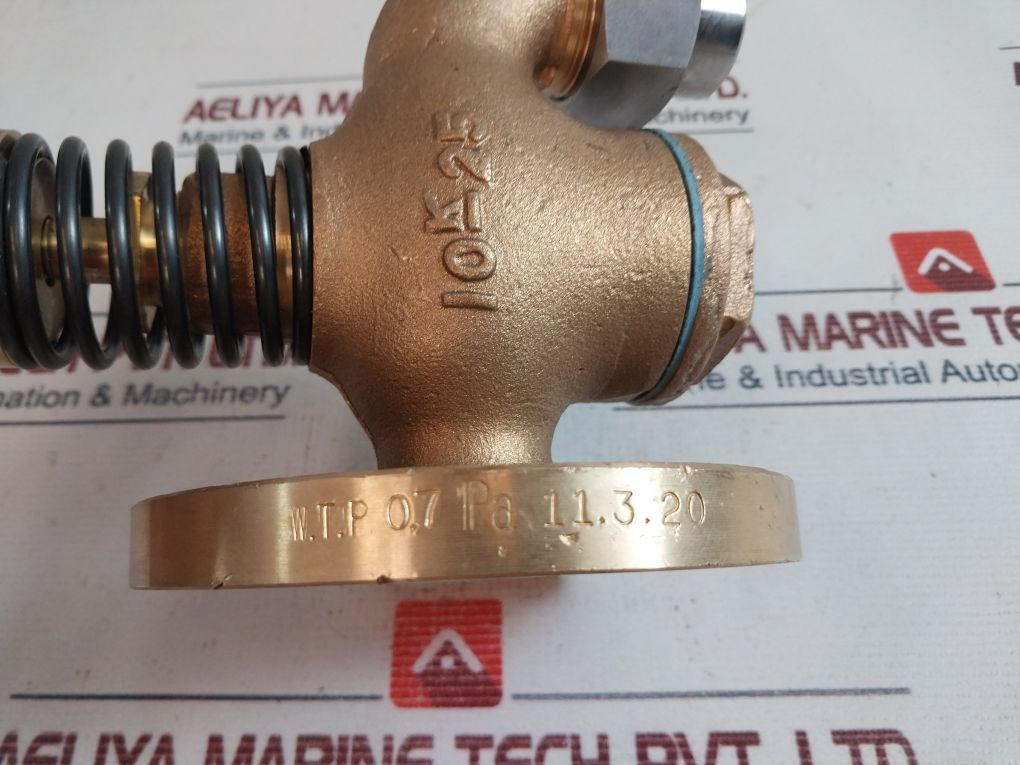 10K25 Globe Hose Valve