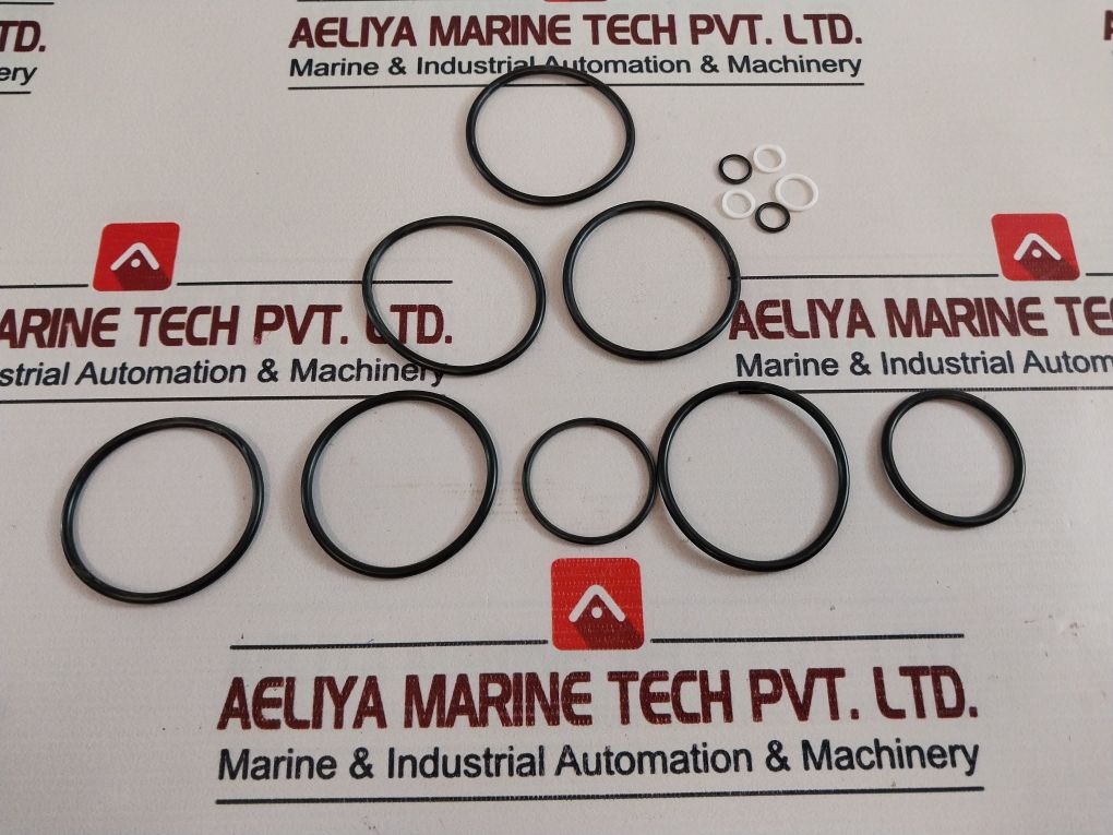 1721-0999 Valve Repair Kit 1” Npt 240691