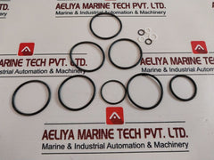 1721-0999 Valve Repair Kit 1” Npt 240691