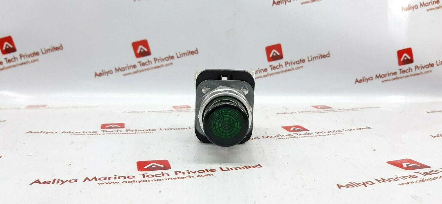Allen-bradley 800t-qb24g green push button