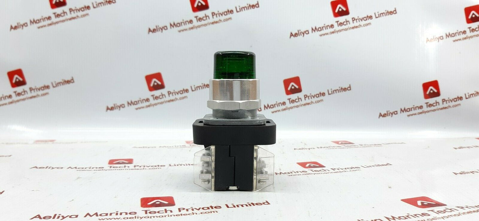 Allen-bradley 800t-qb24g green push button