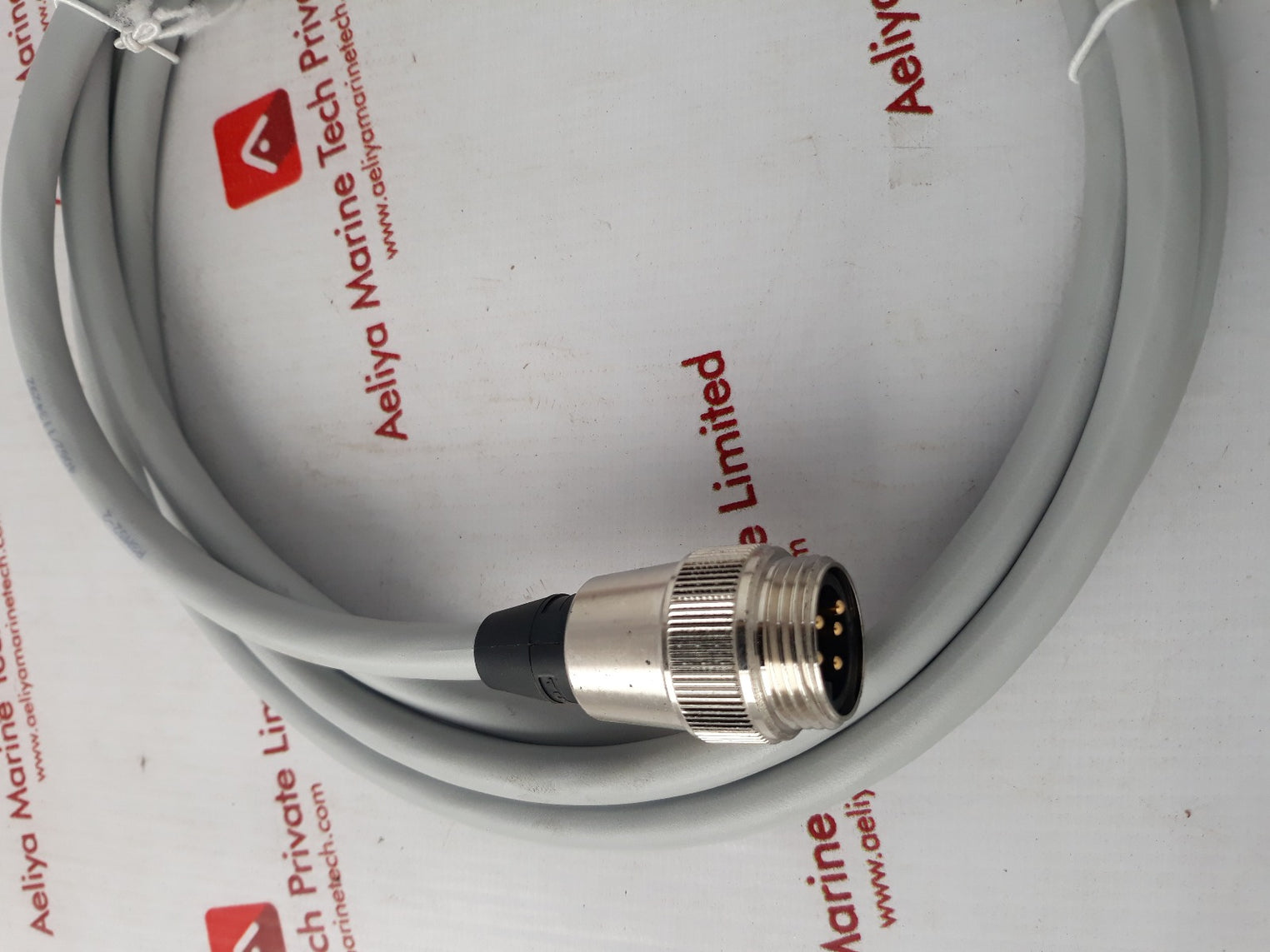 Turck Rsm52-2/S496 Molded Cable