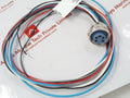 Lot Of 4 X Turck Rkf 57-1M Cordset