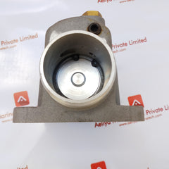 Intake Valve T041F-161