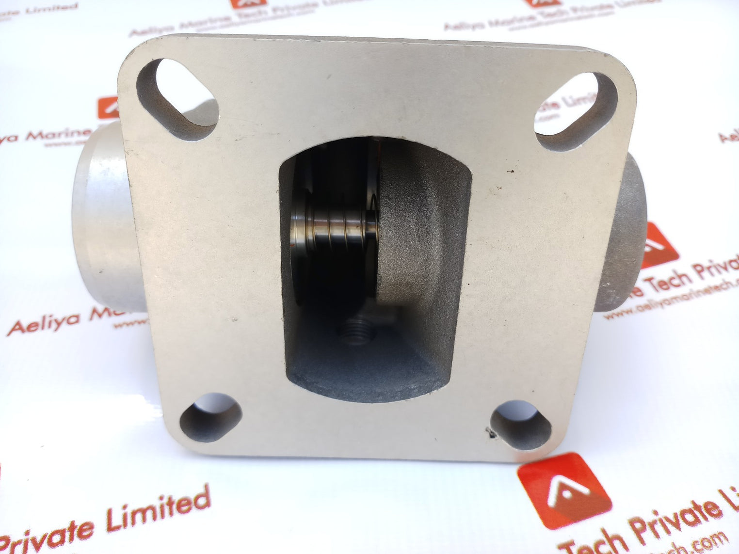 Intake Valve T041F-161