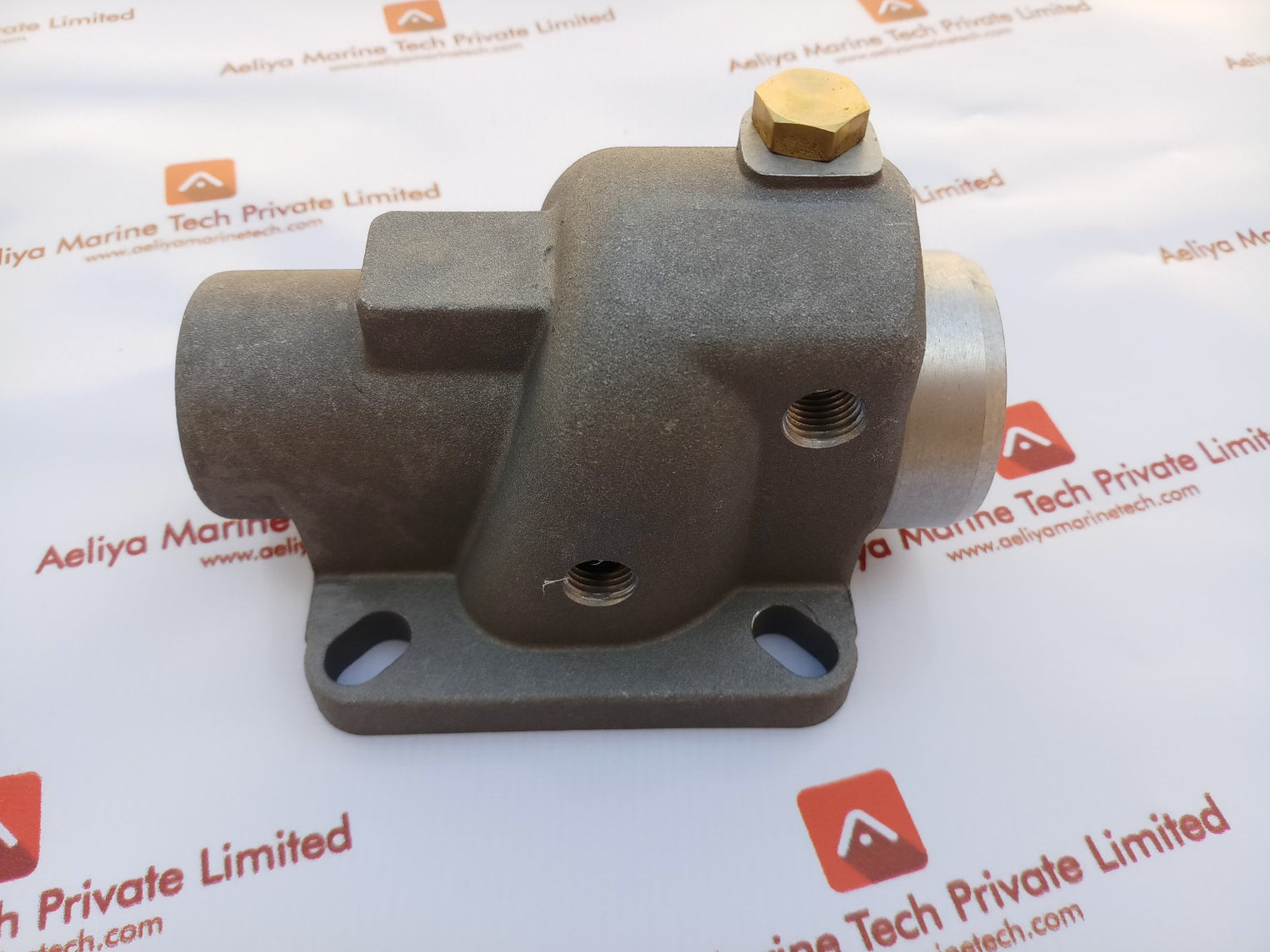 Intake Valve T041F-161