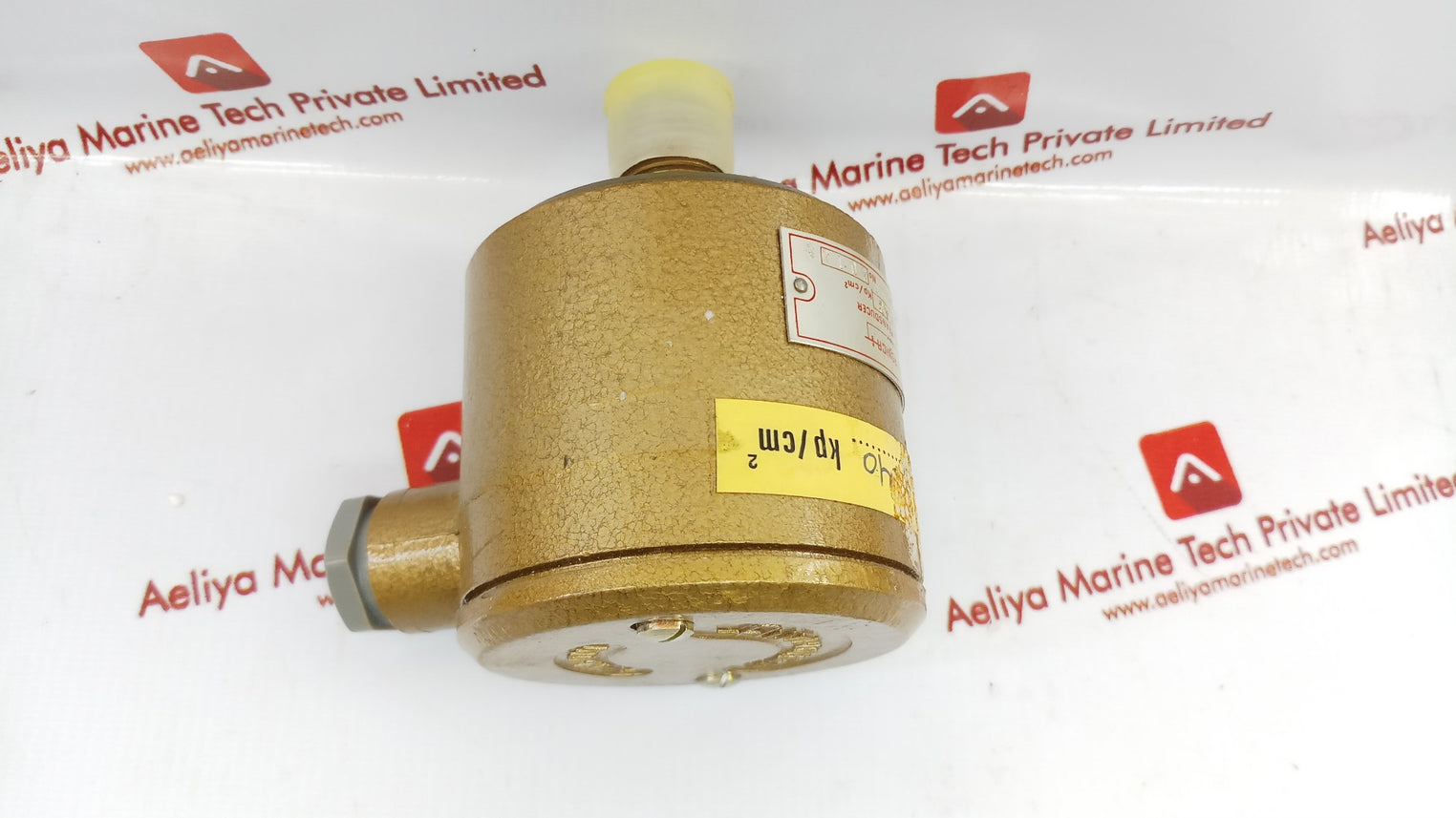 Autronica Gt-1/40 Kp/Cm2 Pressure Transducer