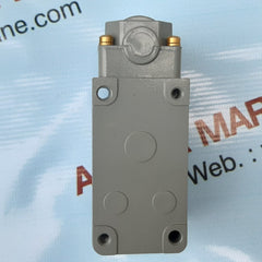 Dynamco hdl30 dx heavy duty limit switch
