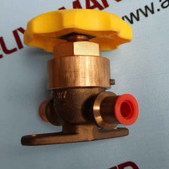 Henry 5163 packless valve