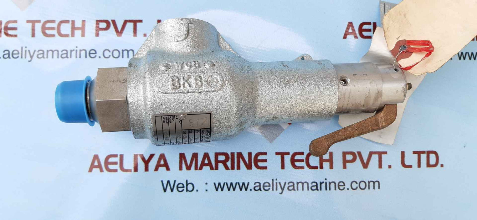 Mercer 91-12d63p15I1 relief valve