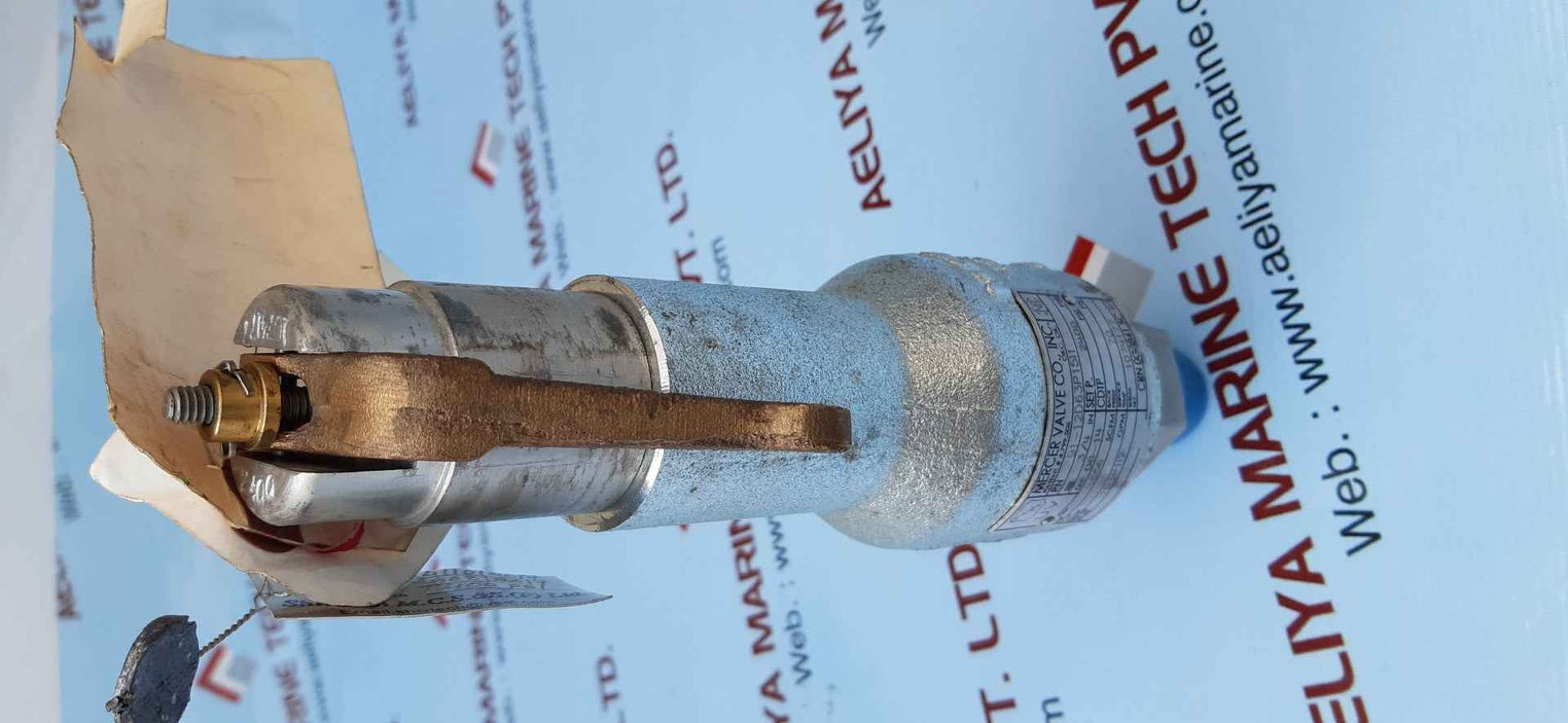 Mercer 91-12d63p15I1 relief valve
