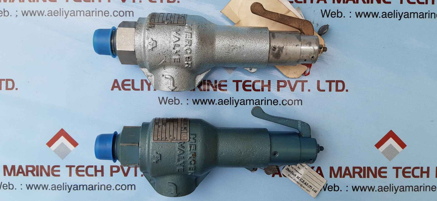 Mercer 91-12d63p15I1 relief valve