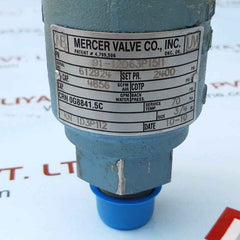 Mercer 91-12d63p15I1 relief valve