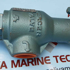 Mercer 91-12d63p15I1 relief valve