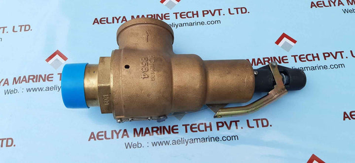 Kunkle valve 6010jhm01-km air relief valve