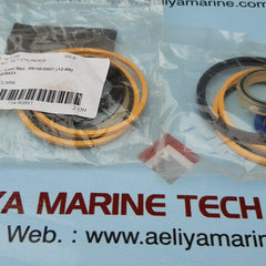 Tilt cylinder seal kit esm20