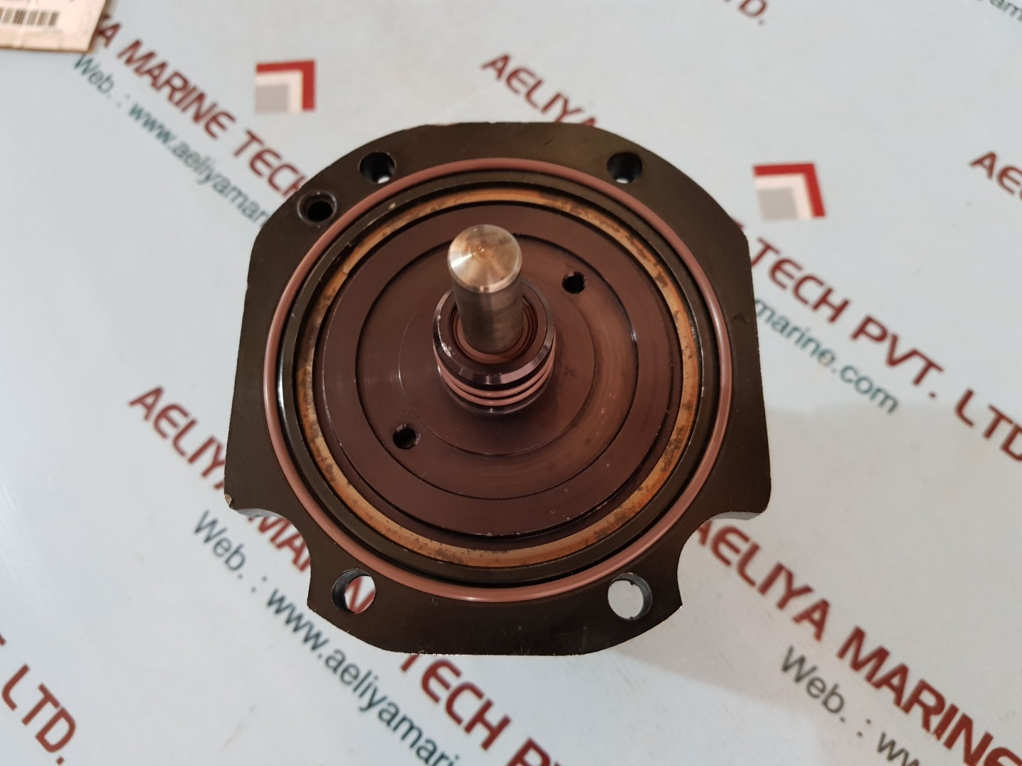 Derrick dual pool 628 cylinder kit g0009088