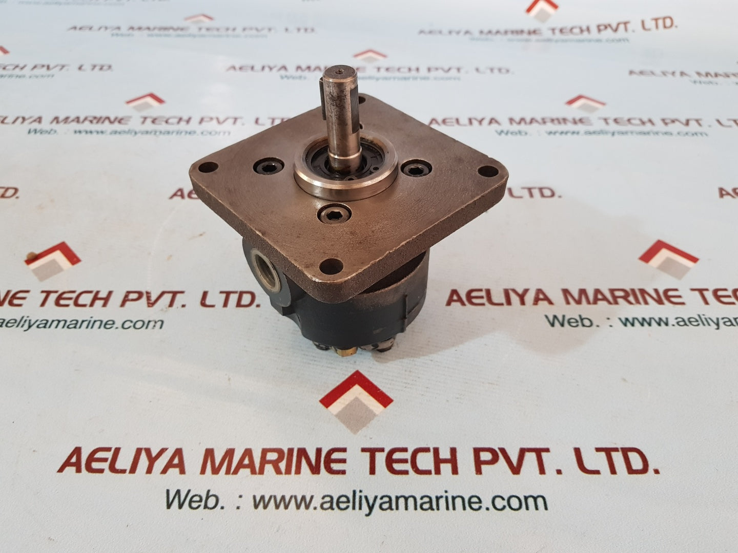 Nippon top-206 ha flvb15v trochoid pump