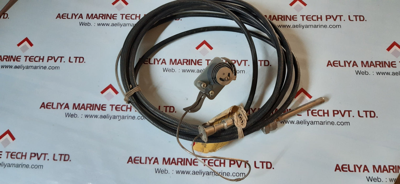 Thermometer+Medeliry Tayl01