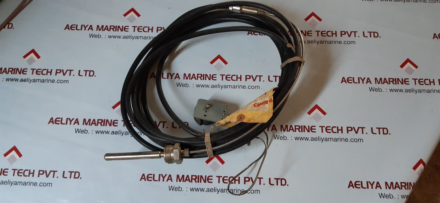 Thermometer+Medeliry Tayl01