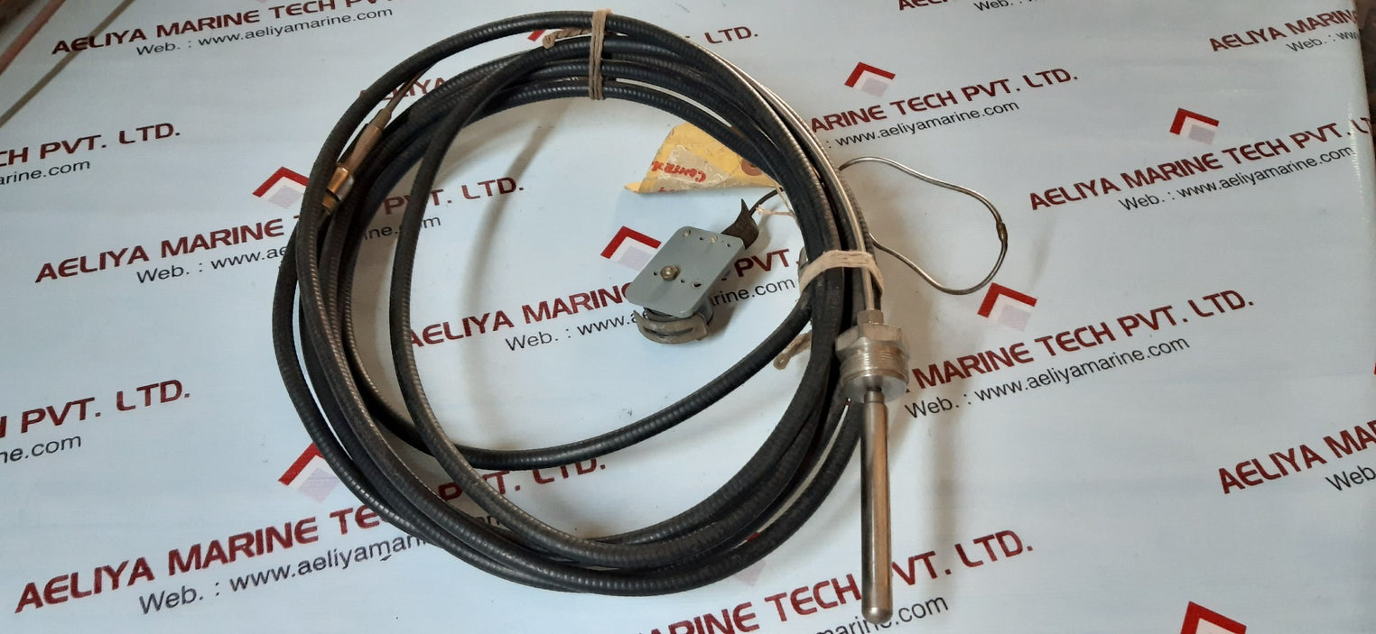 Thermometer+Medeliry Tayl01