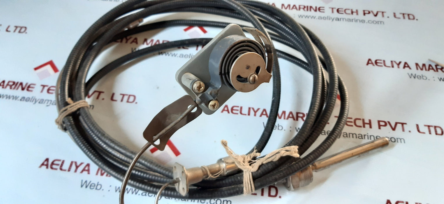 Thermometer+Medeliry Tayl01