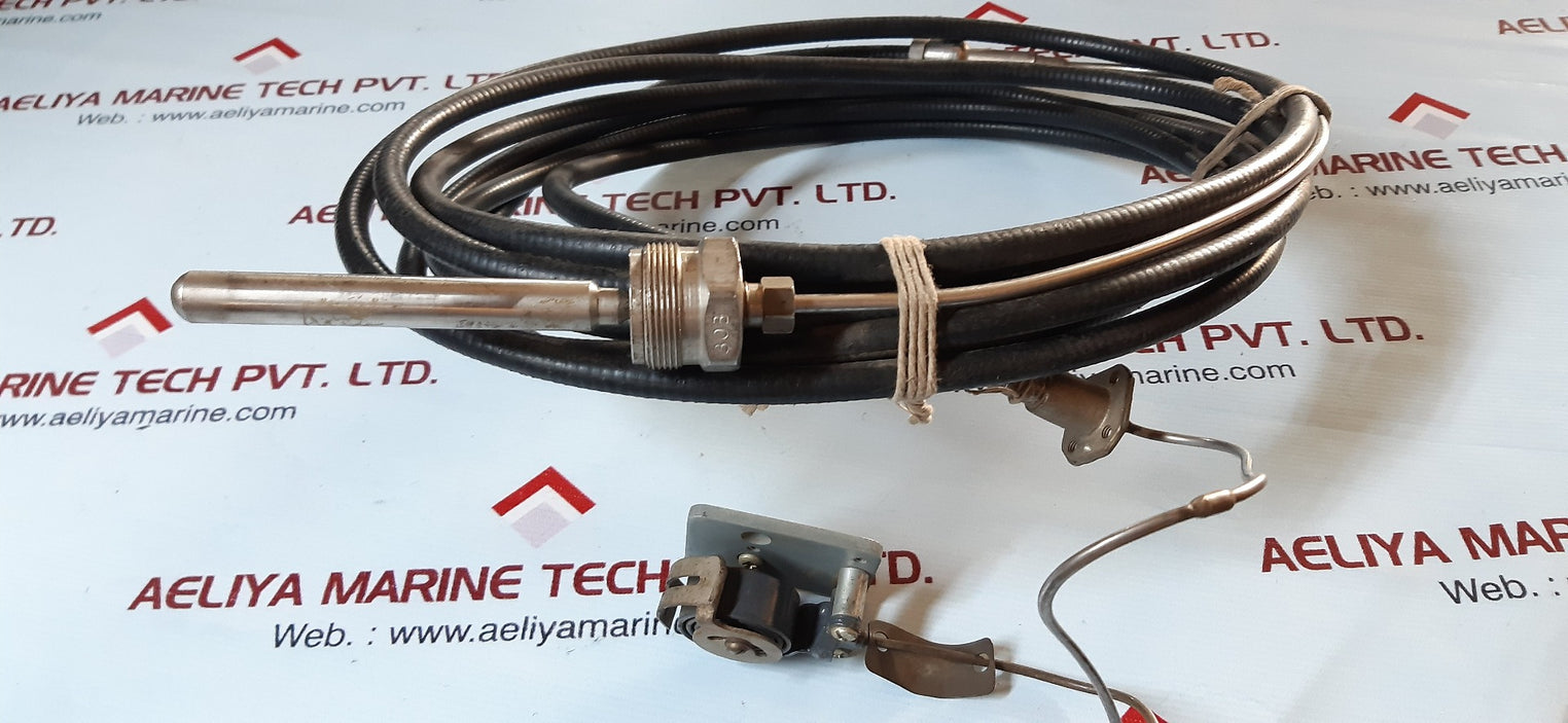 Thermometer+Medeliry Tayl01