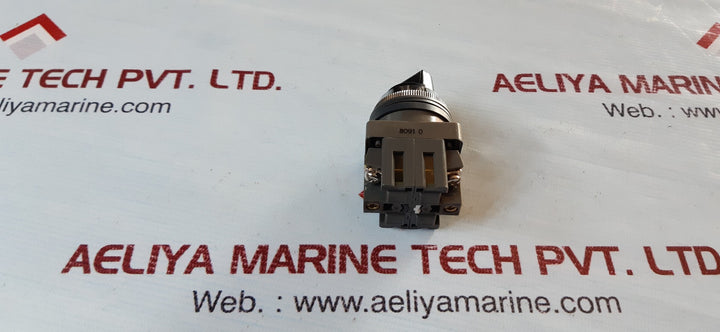 Idec izumi asn37s selector switch