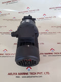 Saacke pzhds30 pump