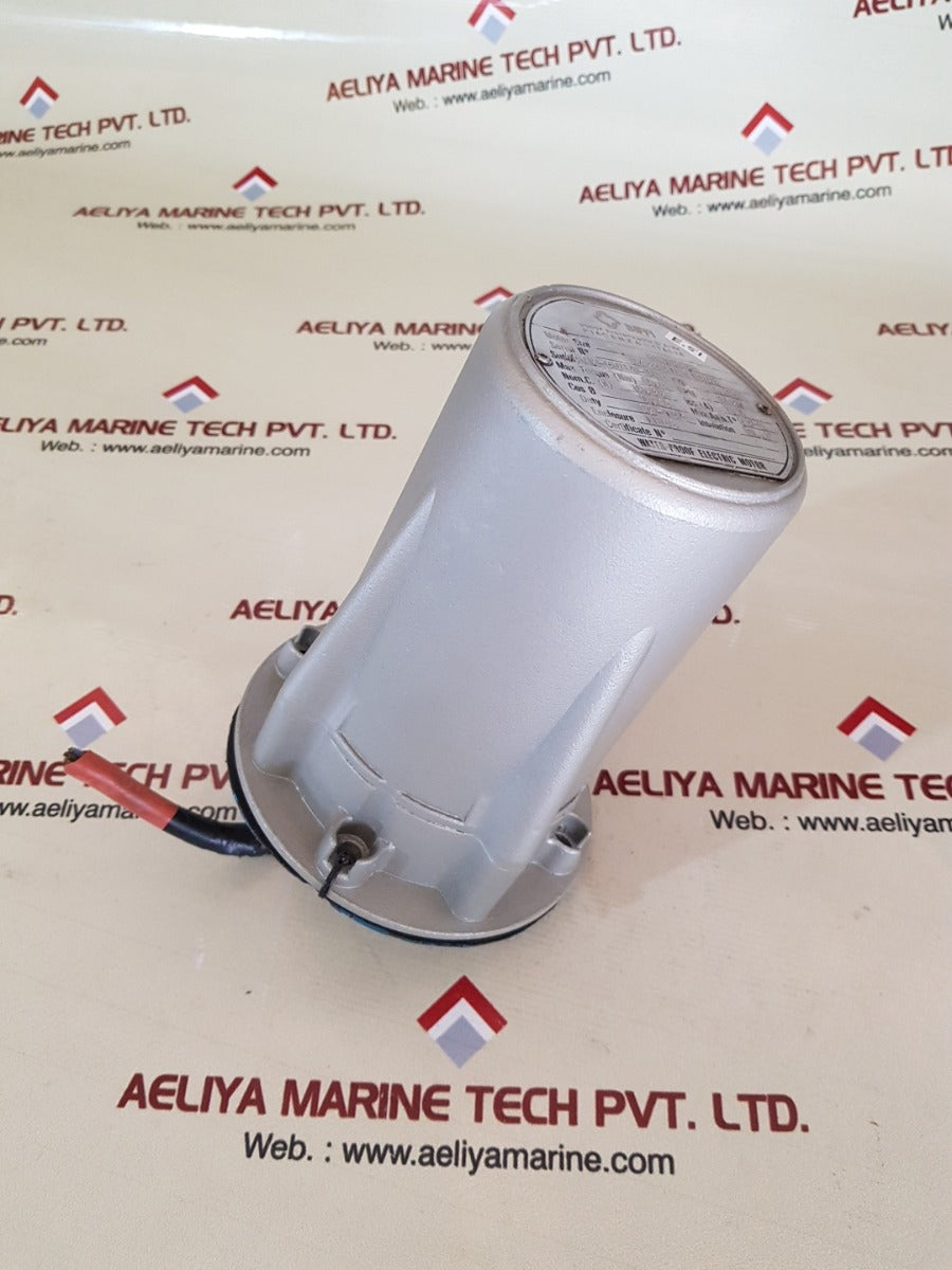 Biffi m05c008 water proof electric motor