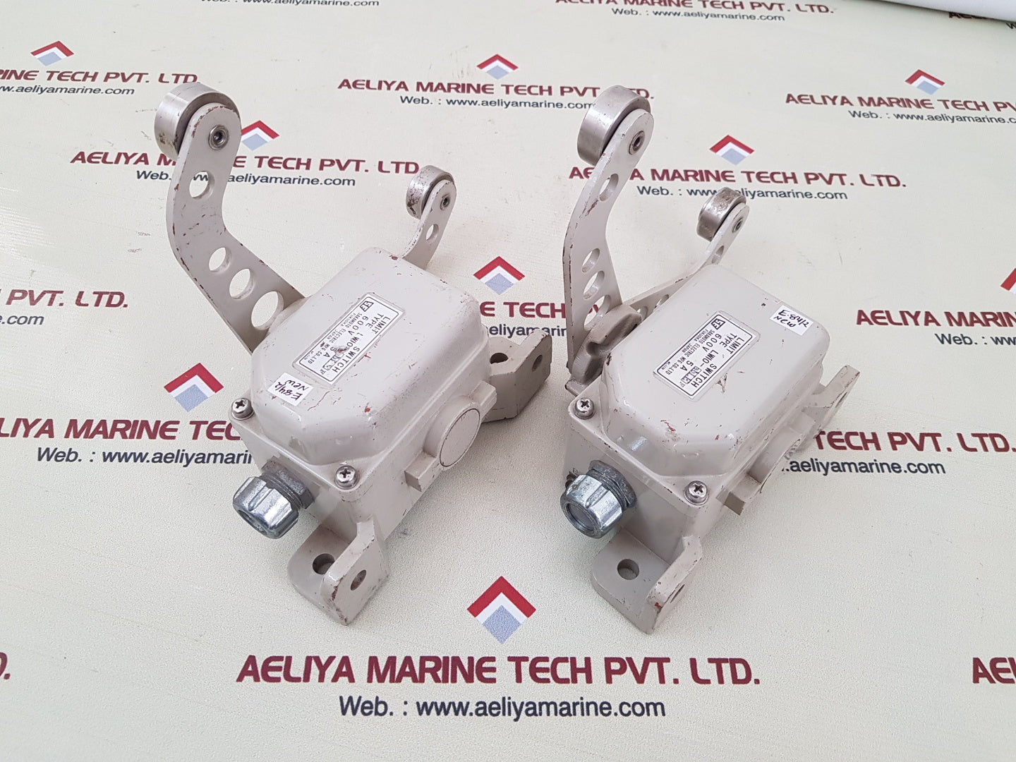 Sakamoto lwio-ablef limit switch