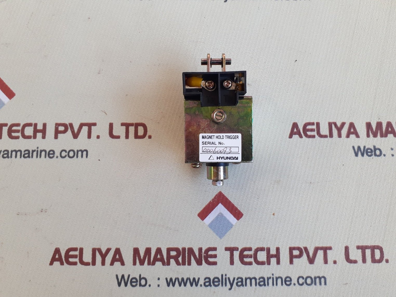 Hyundai magnetic hold trigger