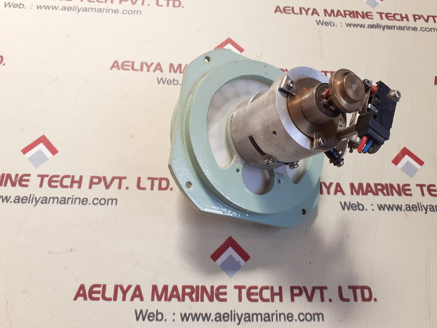 Propeller pitch indicator