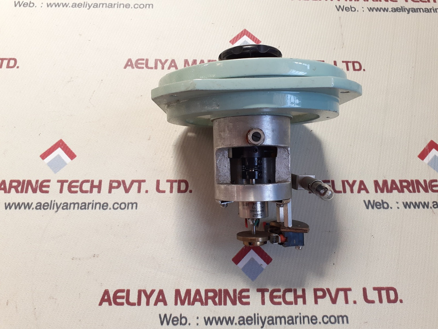 Propeller pitch indicator