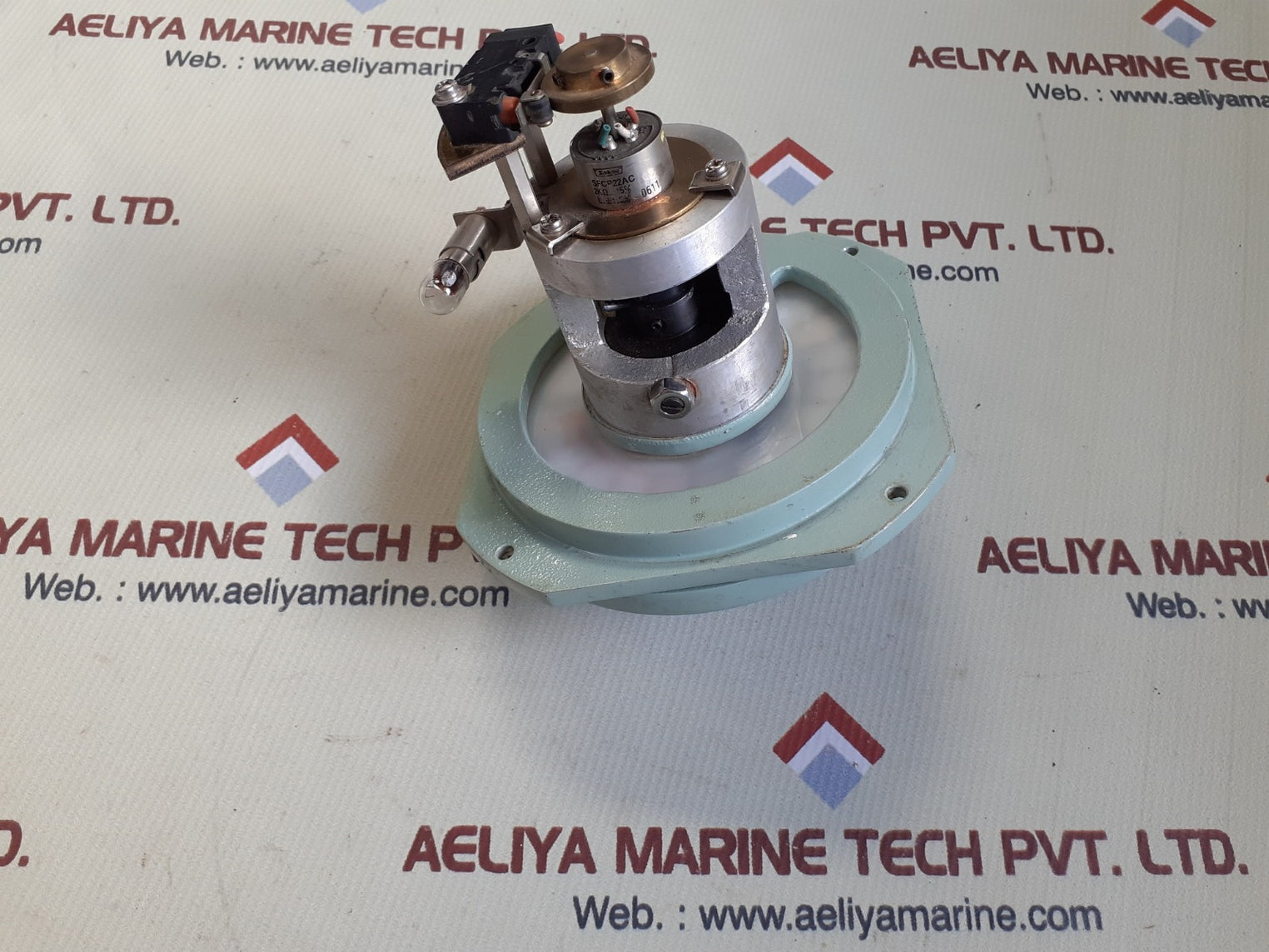 Propeller pitch indicator