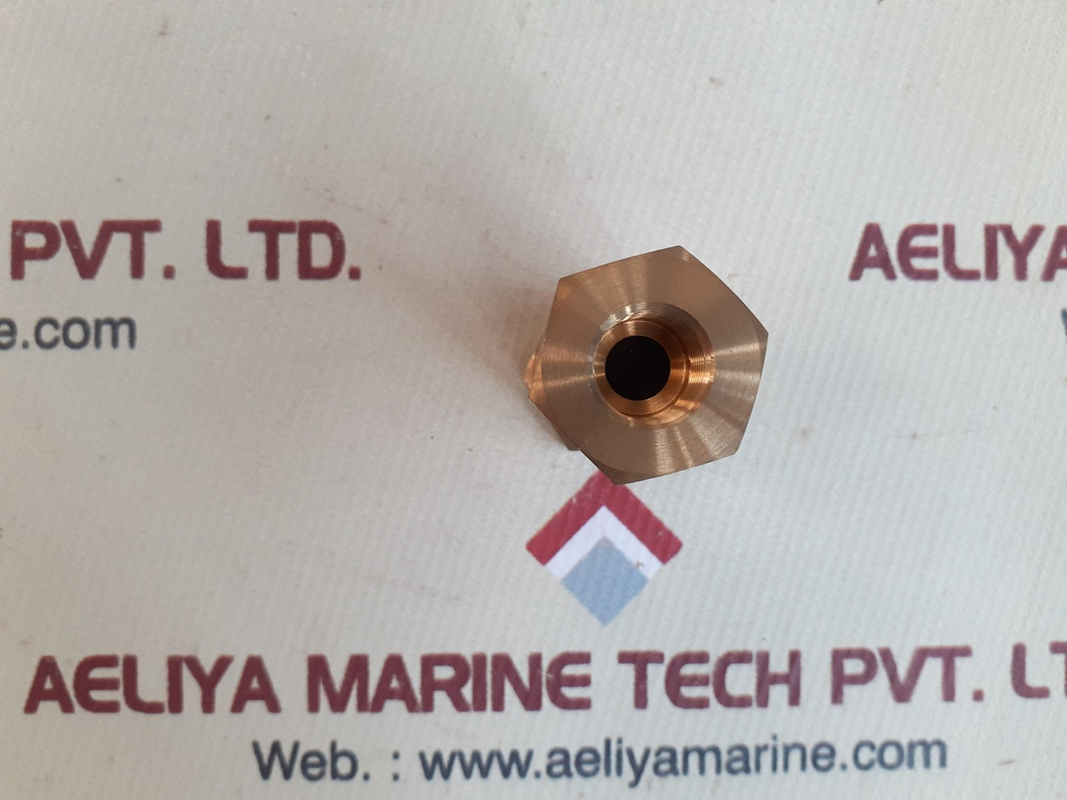 Oscar cvp-b3-v check valve 