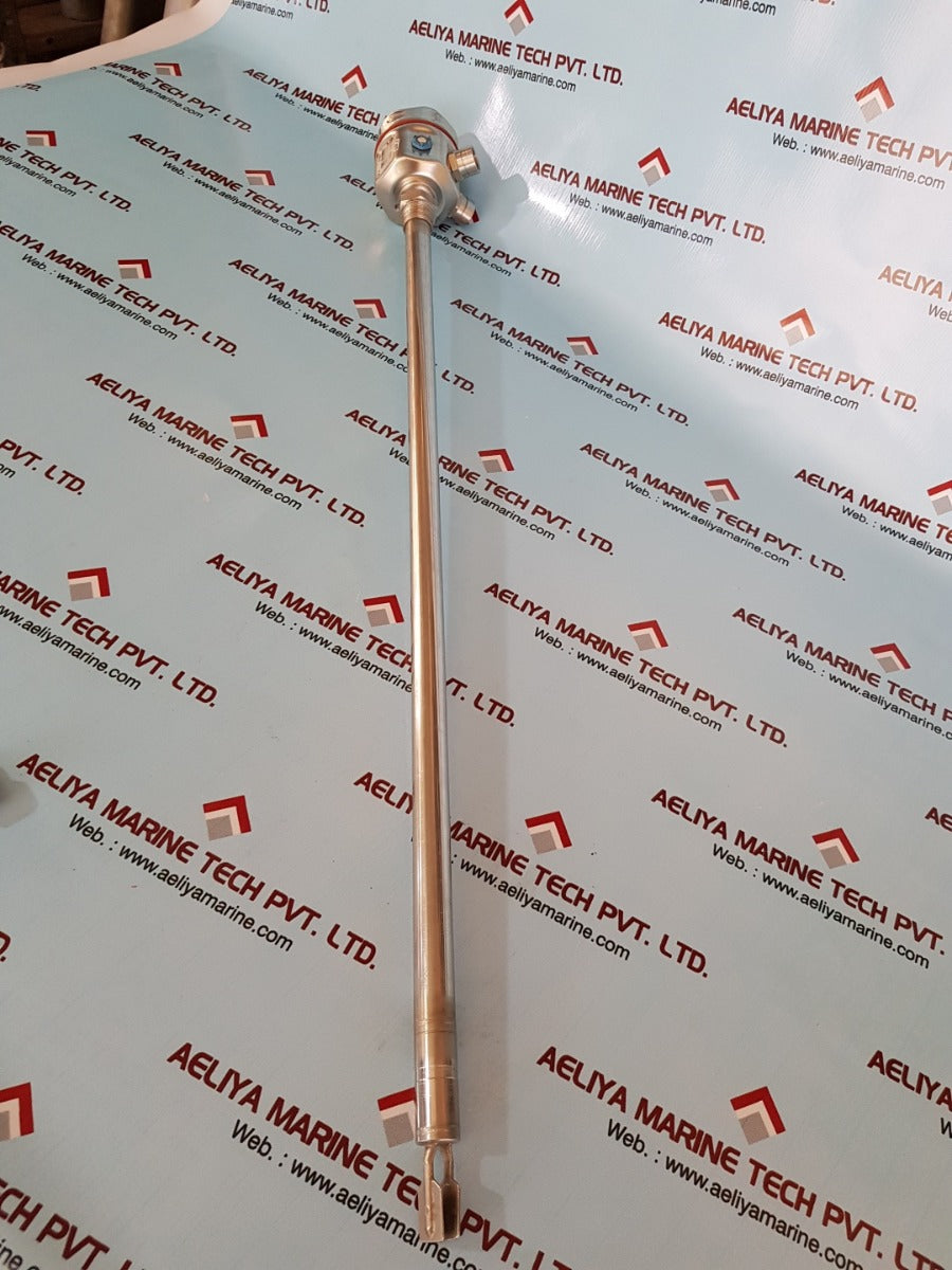 Endress+hauser liquiphant m ftl51-rgm2cb4e6a level switch