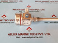 Endress+hauser liquiphant m ftl51-rgm2cb4e6a level switch