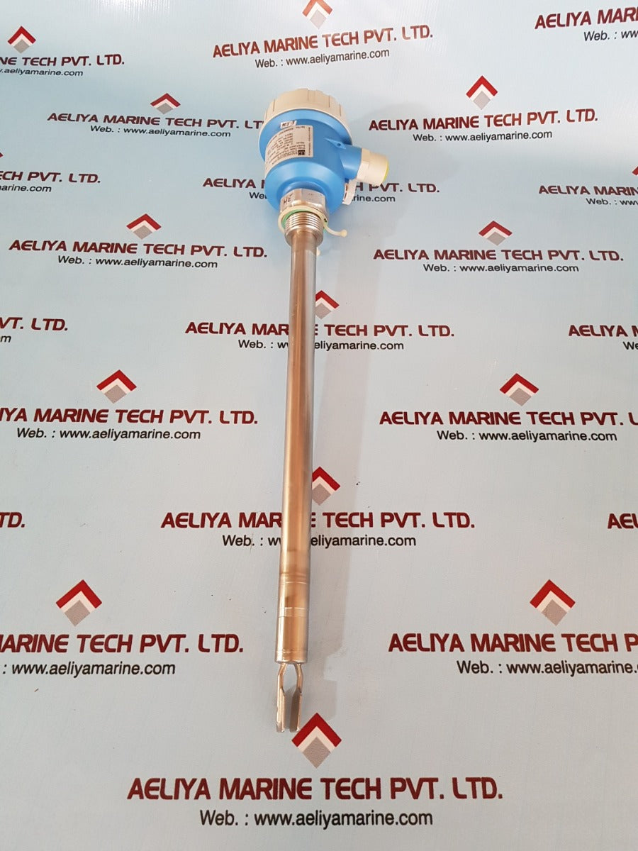 Endress+hauser liquiphant M ftl51-agr2bb4e4a level switch