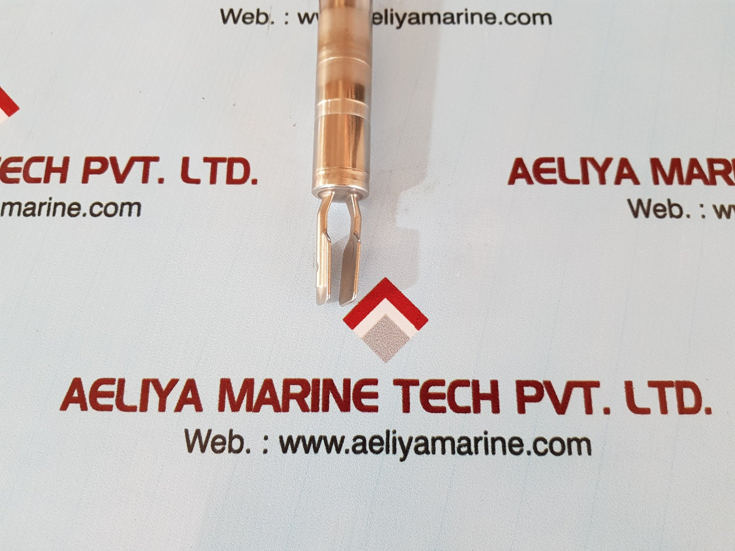 Endress+hauser liquiphant M ftl51-agr2bb4e4a level switch