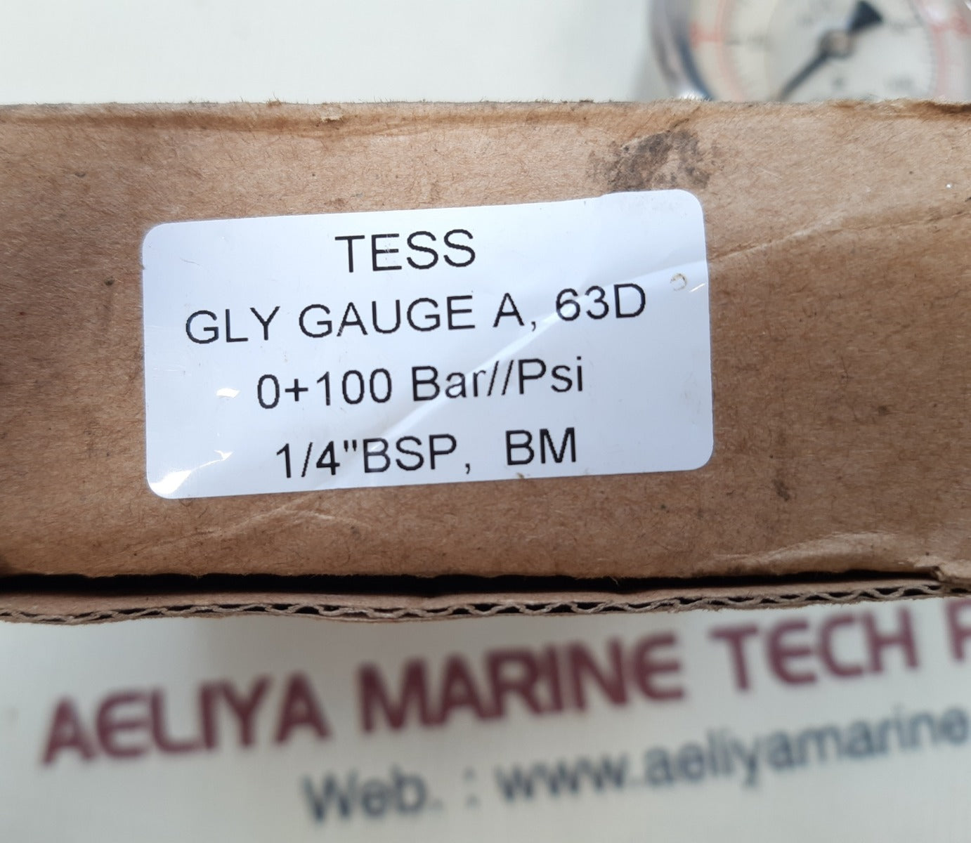 Tess en 837.1 glycerin fill pressure gauge 0-1500psi