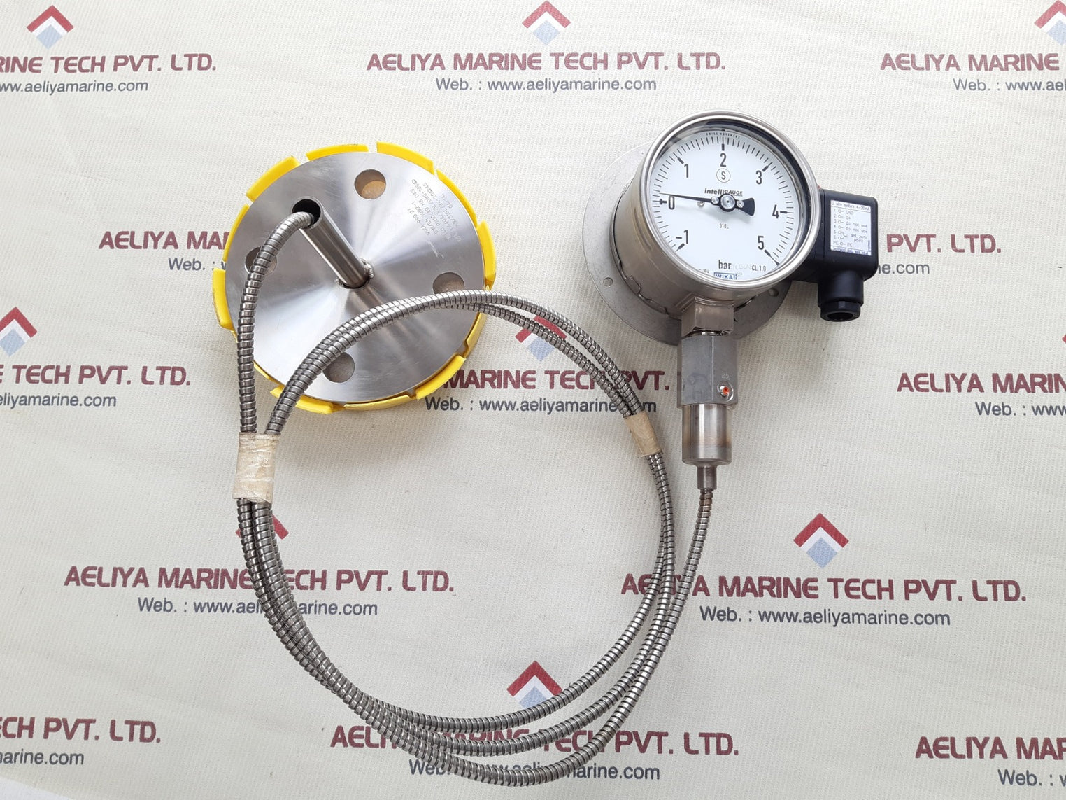 Wika pgt23.100 flange diaphgragm with gauge 990.27