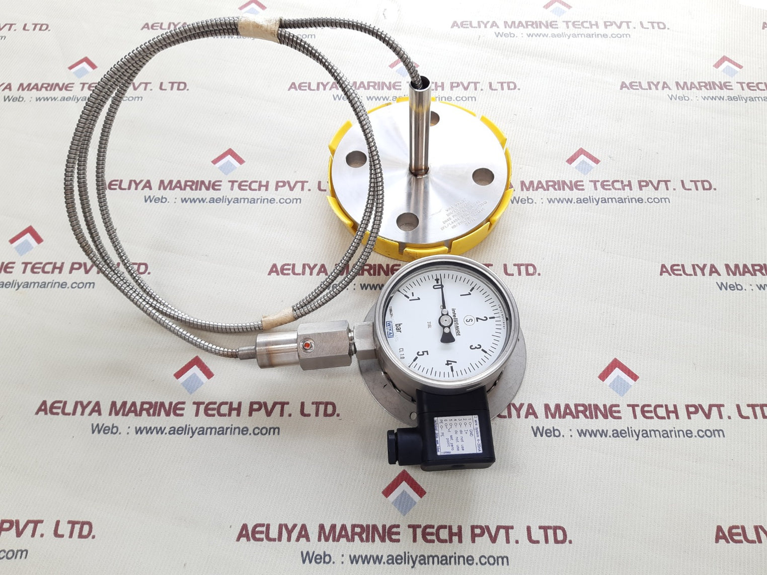 Wika pgt23.100 flange diaphgragm with gauge 990.27