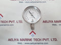 Ashcroft 0.2 inhg subd test gauge