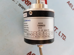 Domino a0058