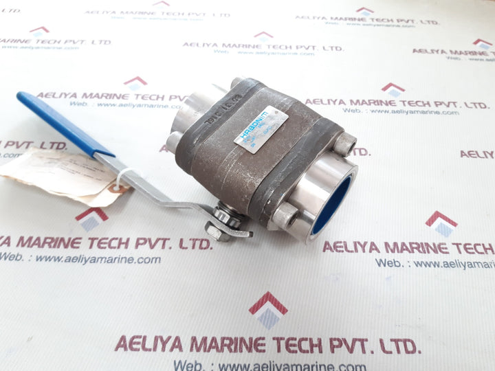 Habonim f316l valve