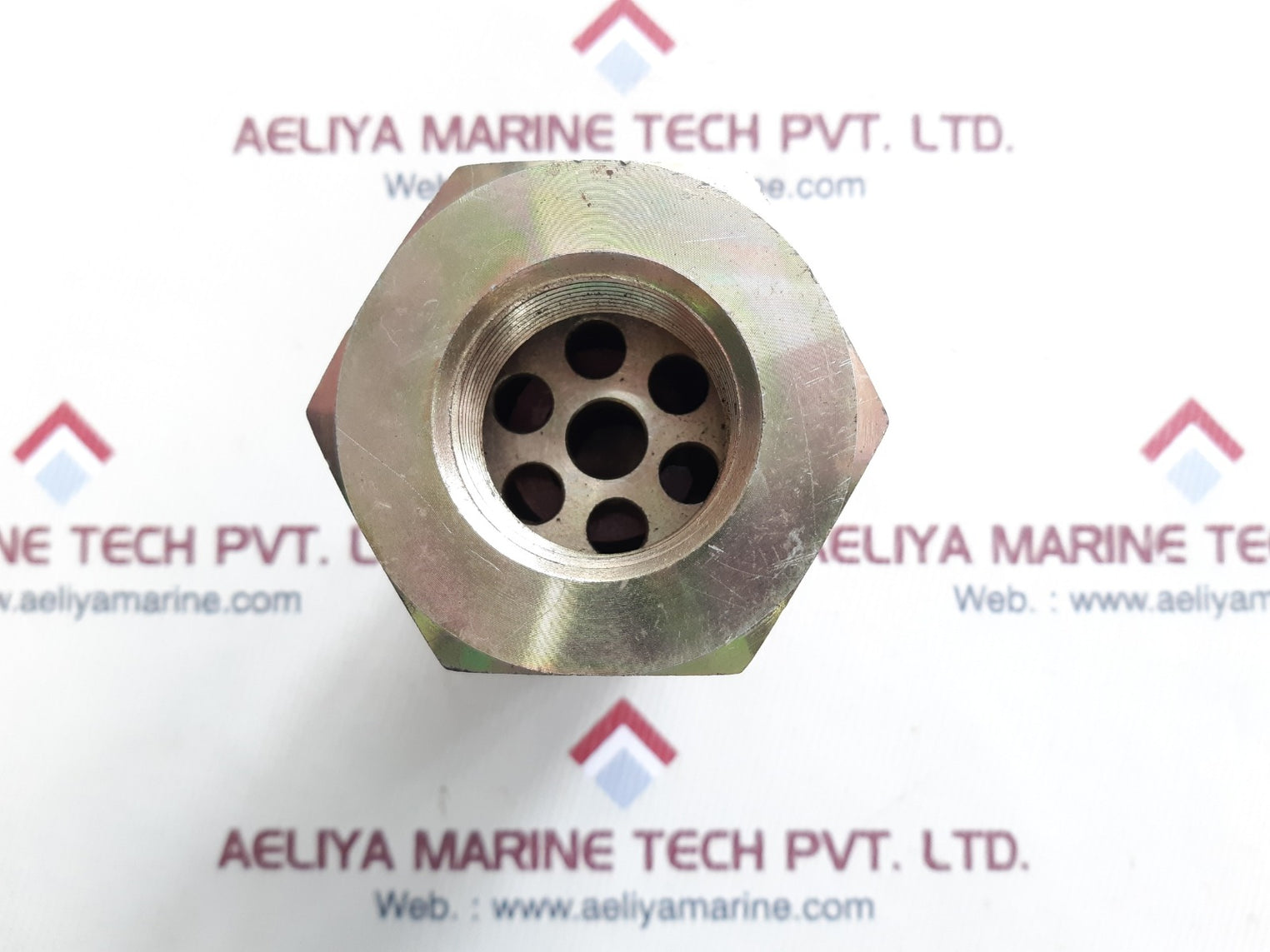 Asan svg-2w safety valve